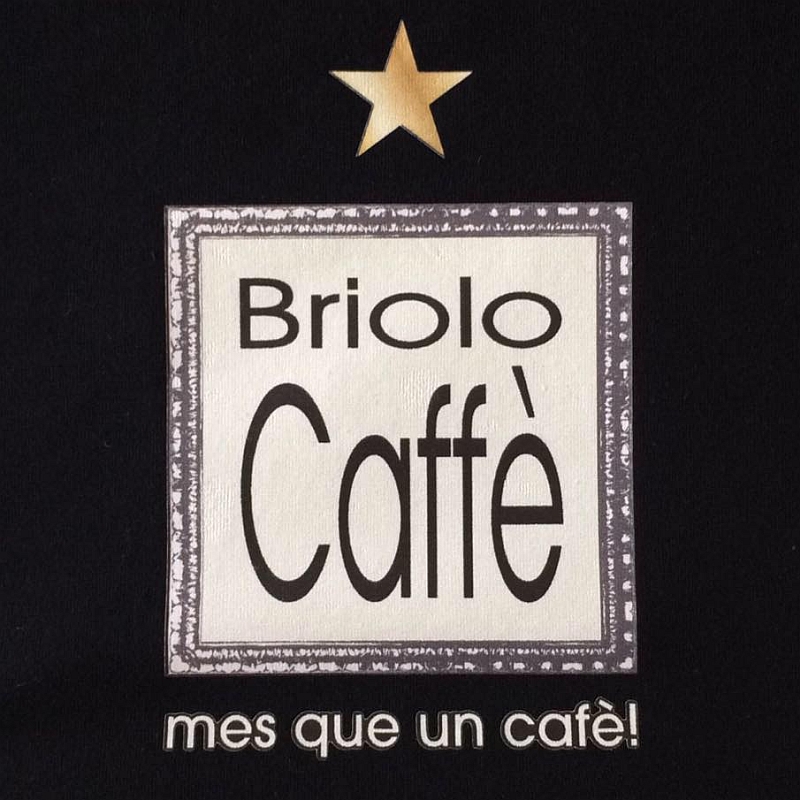 briolo logo 2